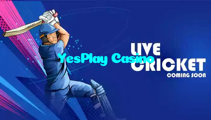 YesPlay Casino خوش آمدید بونس +600% پیشکش موبائل ایپ کے پروموشن سیکشن میں دکھائی دیتی ہے۔