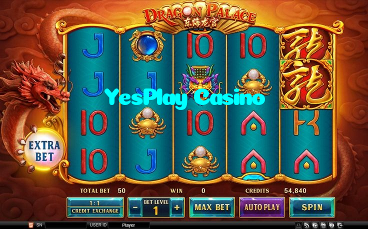 available types of YesPlay Casino bet including pre-match live express and system bets